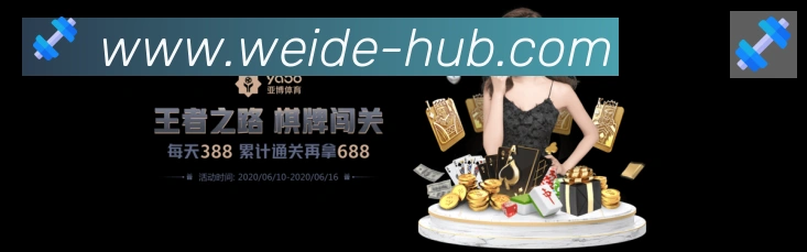 互动解说服务